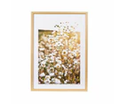 Daisy Framed Print - Anko - Multi