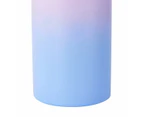 Double Wall Insulated Drink Bottle, 500ml - Anko