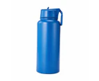 Double Wall Insulated Cylinder Drink Bottle - Anko - Blue