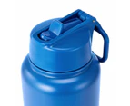 Double Wall Insulated Cylinder Drink Bottle - Anko - Blue