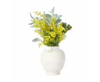 Artificial Wattle in Vase  - Anko - Multi