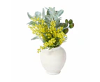 Artificial Wattle in Vase  - Anko