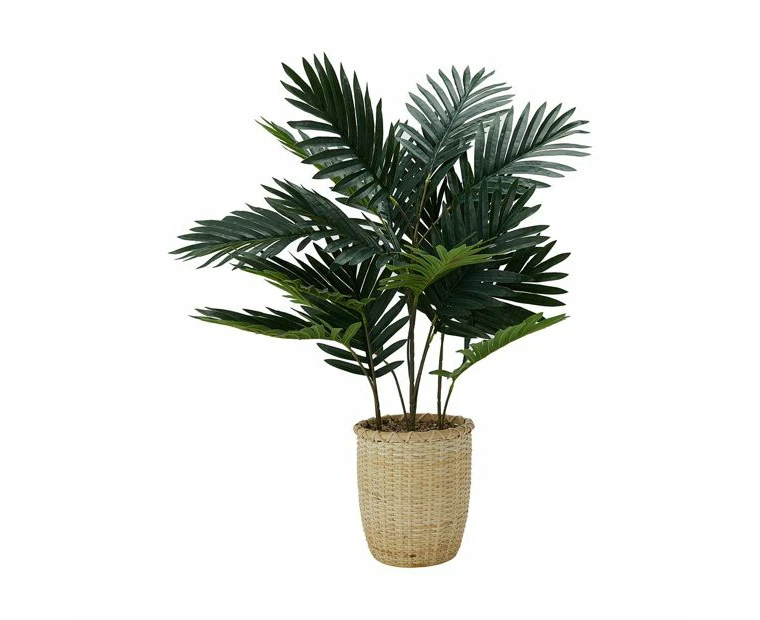 Palm Plant - Anko