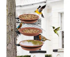 Bird Trays Tree Mounted for Bird Feeder Bird Bath Bowl, Decorative Bird Feeder for Wooden Fence Wall Tree Deck Stakes