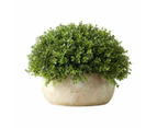 Artificial Oval Topiary  - Anko - Multi