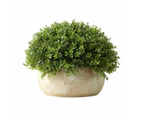 Artificial Oval Topiary  - Anko