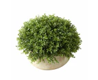 Artificial Oval Topiary  - Anko - Multi