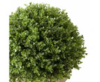 Artificial Oval Topiary  - Anko - Multi
