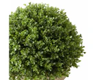 Artificial Oval Topiary  - Anko