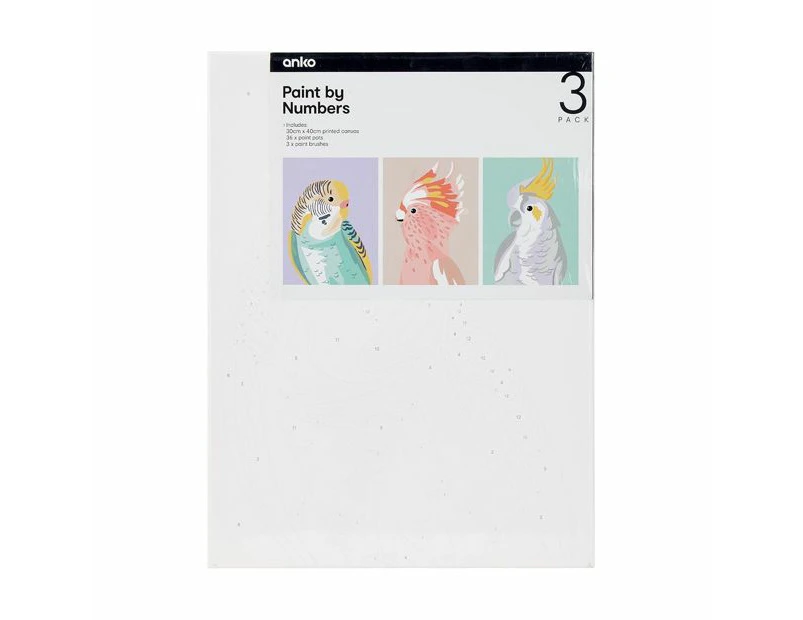 Paint by Numbers 3 Pack - Anko