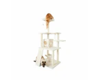 Cat Tower - Anko