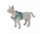 Dog Harness Coloured Knit, Medium - Anko