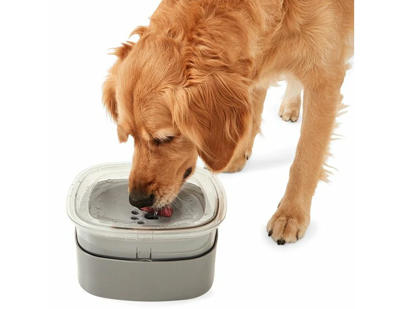 Pet Floating Bowl - Anko