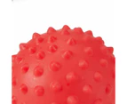 Sensory Balls, 6 Pack - Anko - Multi