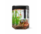 360 Degree LED Aquarium - Anko