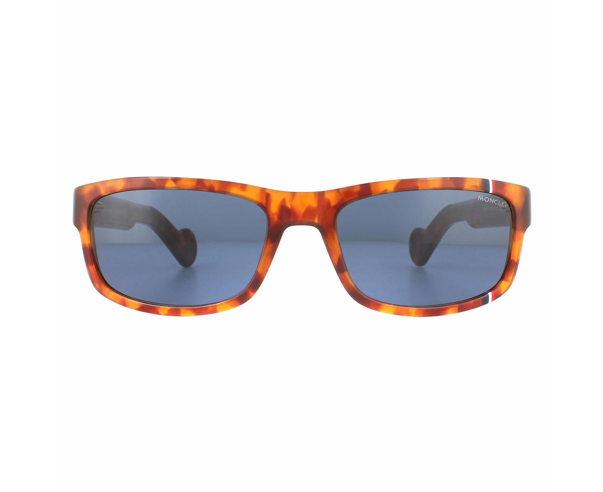 Moncler Sunglasses ML0114 53V Havana Blue