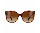 Ralph by Ralph Lauren Sunglasses RA5248 500313 Shiny Dark Havana Brown Gradient