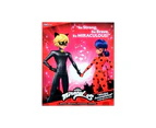 2pc Miraculous Ladybug Ladybug/Cat Noir Kids/Childrens Fashion Doll 3y+