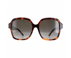 Jimmy Choo Sunglasses Rella/G/S 086/HA Dark Havana Brown Gradient