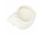 Shell Shaped Fragrant Candle - Anko - Multi