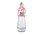 24pc Gatorade G-Active Berry Flavoured Sports Rehydration Drink Bottle 600ml