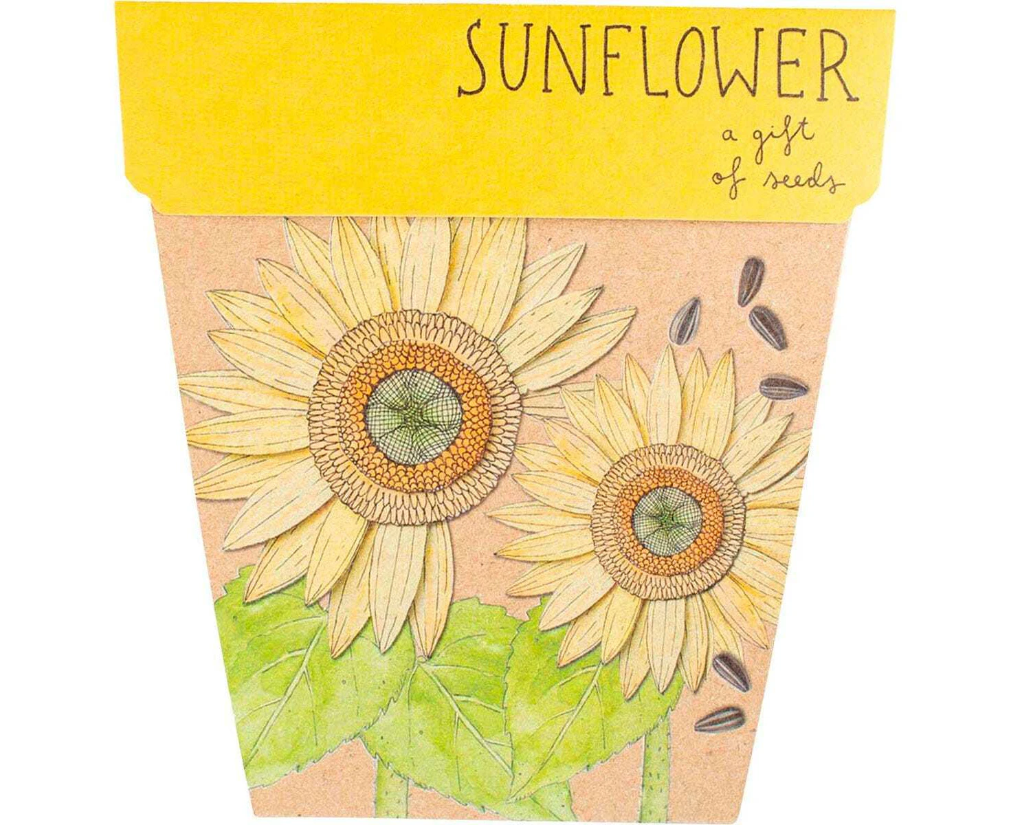 A Gift of Seeds - Sunflower