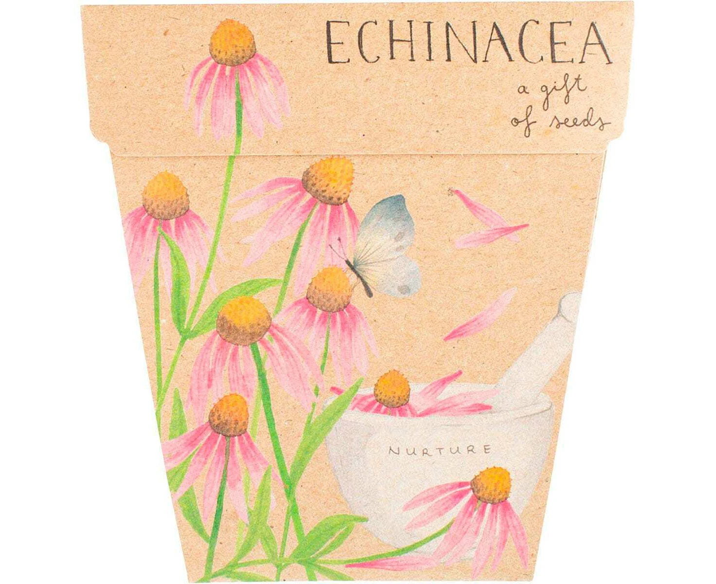 Sow 'n Sow Echinacea Gift Of Seeds