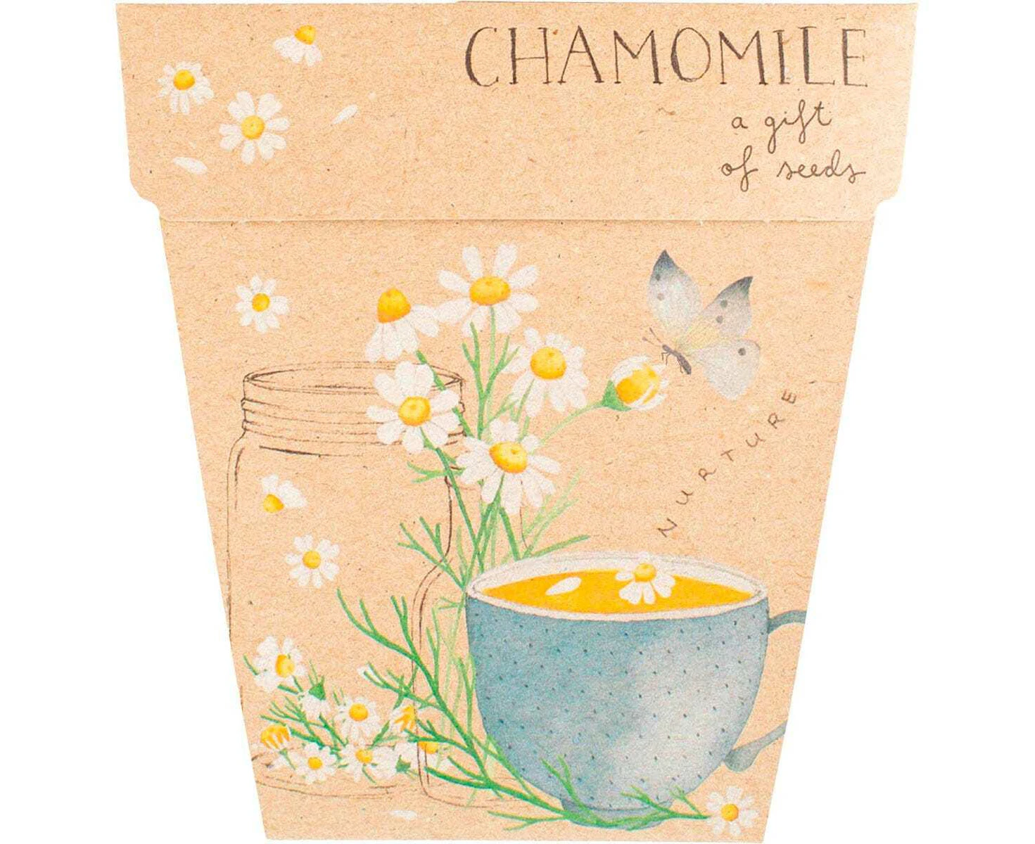 Sow 'n Sow Chamomile Gift Of Seeds