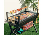 Costway 2-in-1 Fire Pit Camping Charcoal Grill w/Rack & Shelf Stainless Steel Outdoor Cooking Picnic Hiking