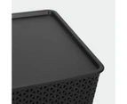 Flat Storage Container - Anko