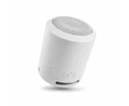 Portable Bluetooth Speaker - Anko - Silver