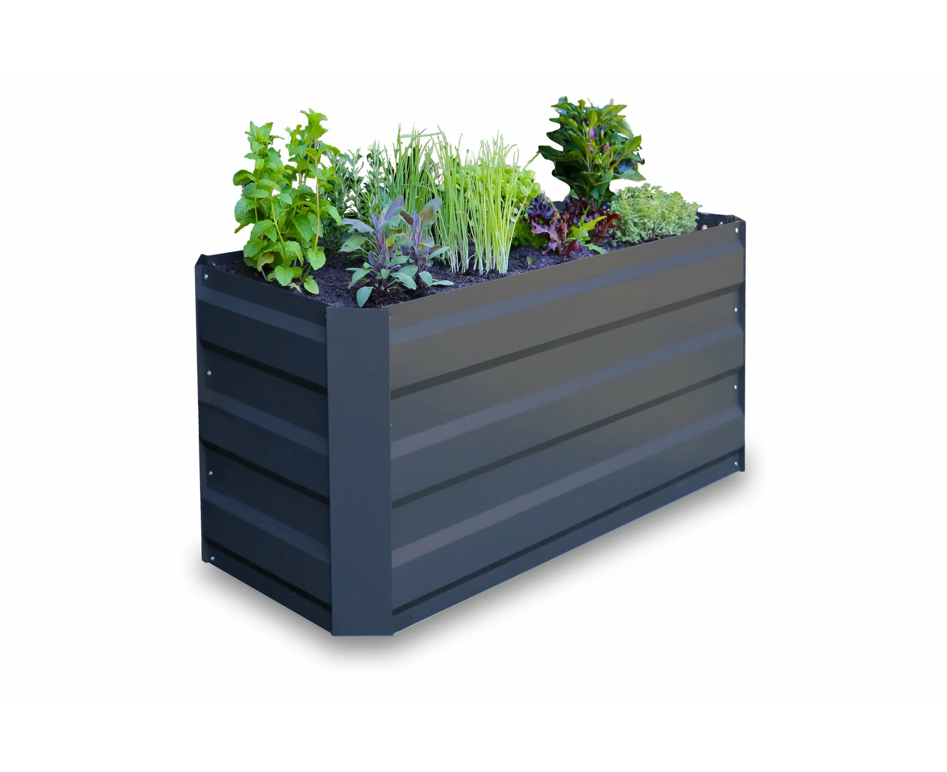 Greenlife Slimline Raised Garden Bed - 900 x 450 x 450mm - Charcoal