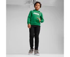 Puma Boys' Essentials 2-Colour Big Logo Hoodie - Archive Green