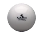 Readers Childrens/Kids Windball Cricket Ball (White) - CS1277