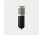 Professional Gaming Microphone - Anko