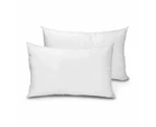 Allergy Sensitive Pillows, 2 Pack - Anko - White