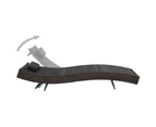 vidaXL Sun Lounger Poly Rattan and Textilene Brown