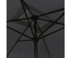 vidaXL Outdoor Parasol with Metal Pole 300x200 cm Black