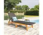 vidaXL Sun Lounger Black and Brown Poly Rattan&Solid Wood Acacia