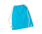 Westford Mill Cotton Drawstring Bag (Surf Blue) - PC5783