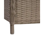 vidaXL Outdoor Chairs with Cushions 2 pcs Poly Rattan Brown