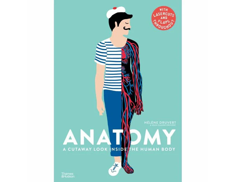 Target Anatomy: A Cutaway Look Inside the Human Body - Jean-Claude Druvert