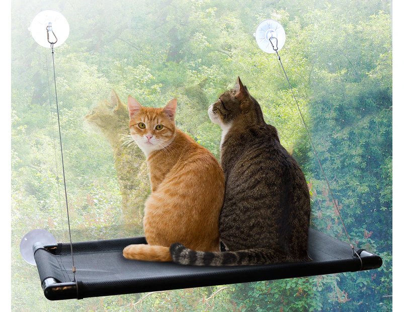 Paws & Claws Lookout Window Cat Bed