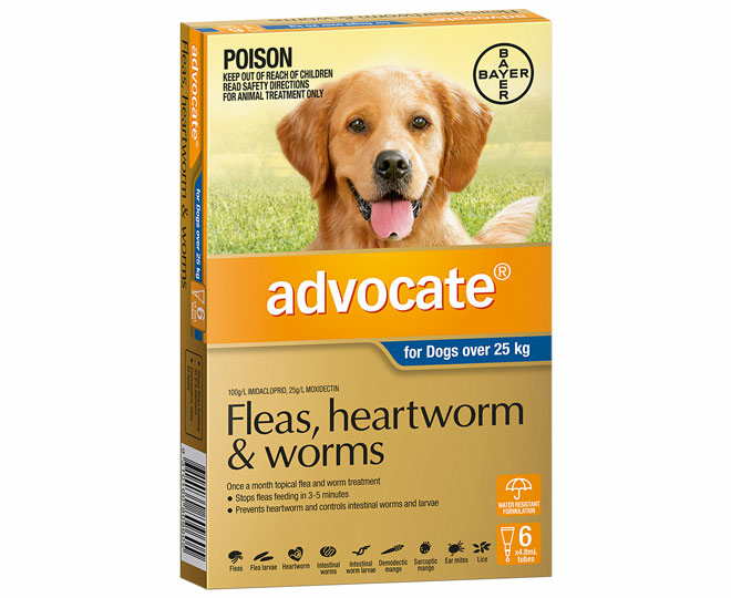 Advocate Flea & Worm Treatment For Dogs 25kg+ 6pk | Catch.com.au