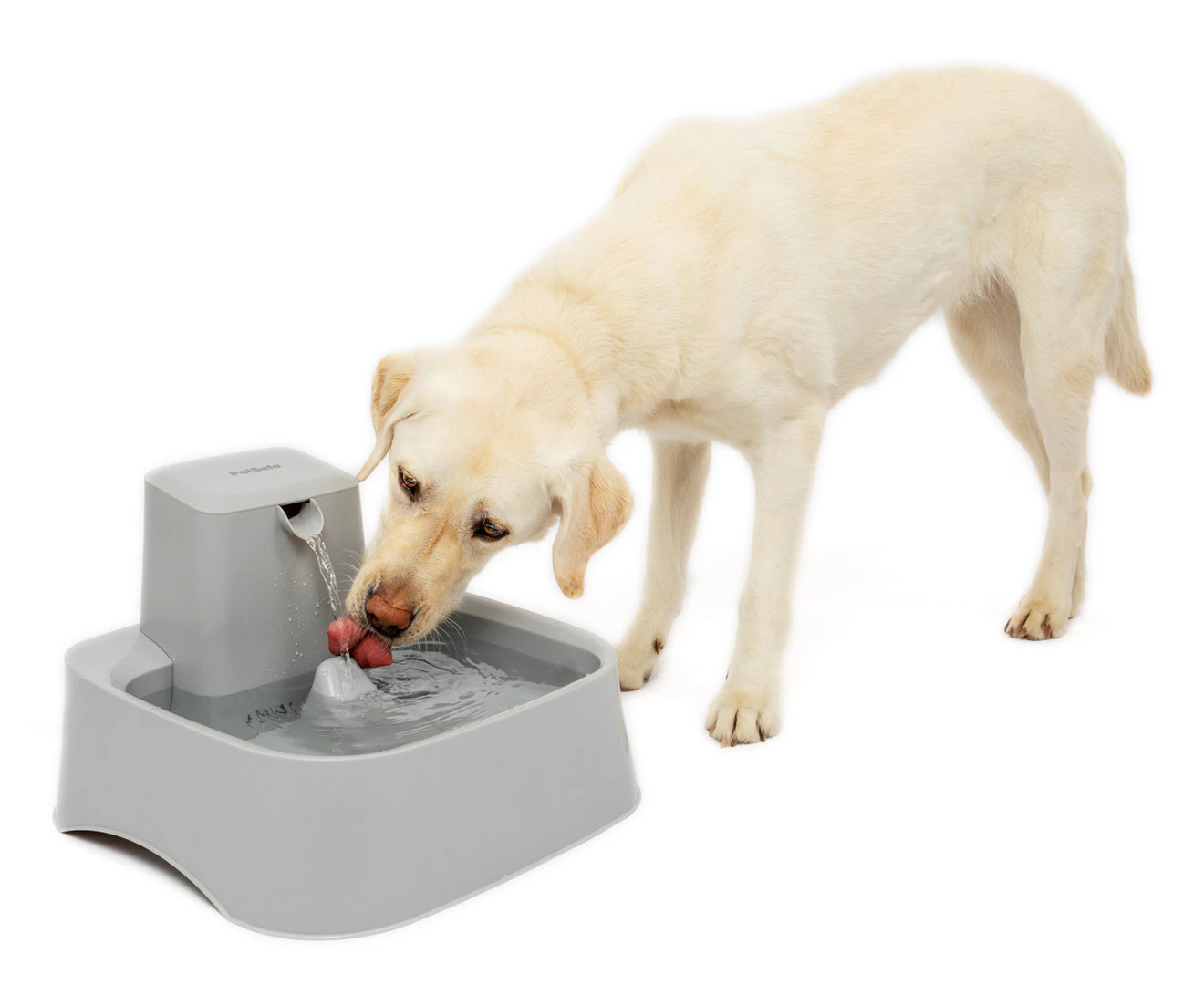 Drinkwell 7.5L Pet Fountain