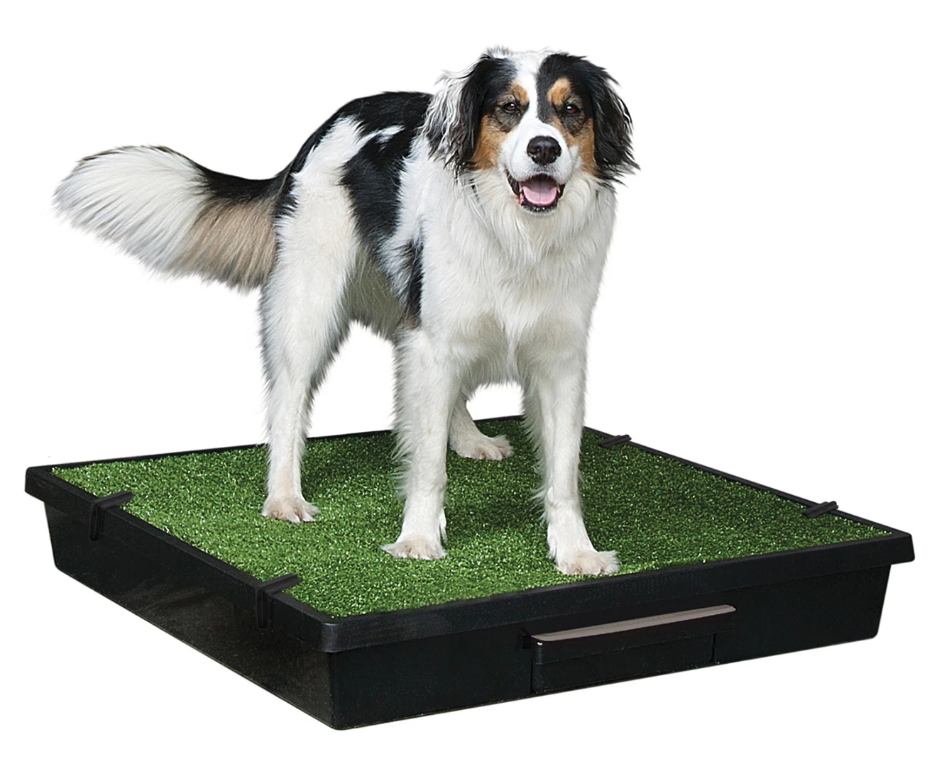 PetSafe Large Pet Loo & Grass Mat