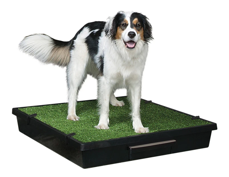 PetSafe Large Pet Loo & Grass Mat