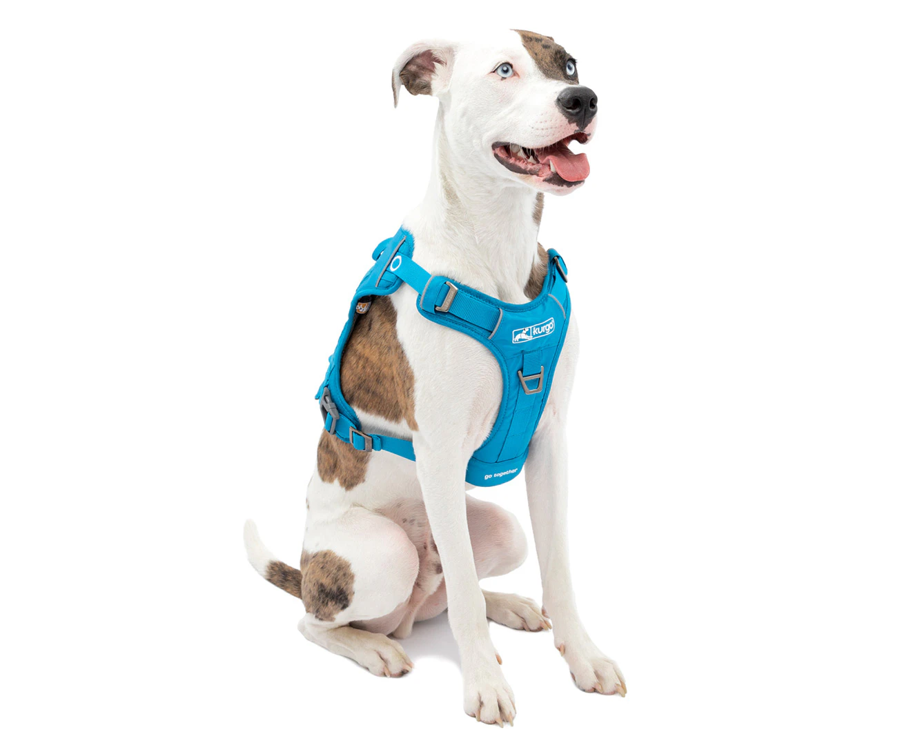 Kurgo Medium RSG Dog County Harness - Coastal Blue