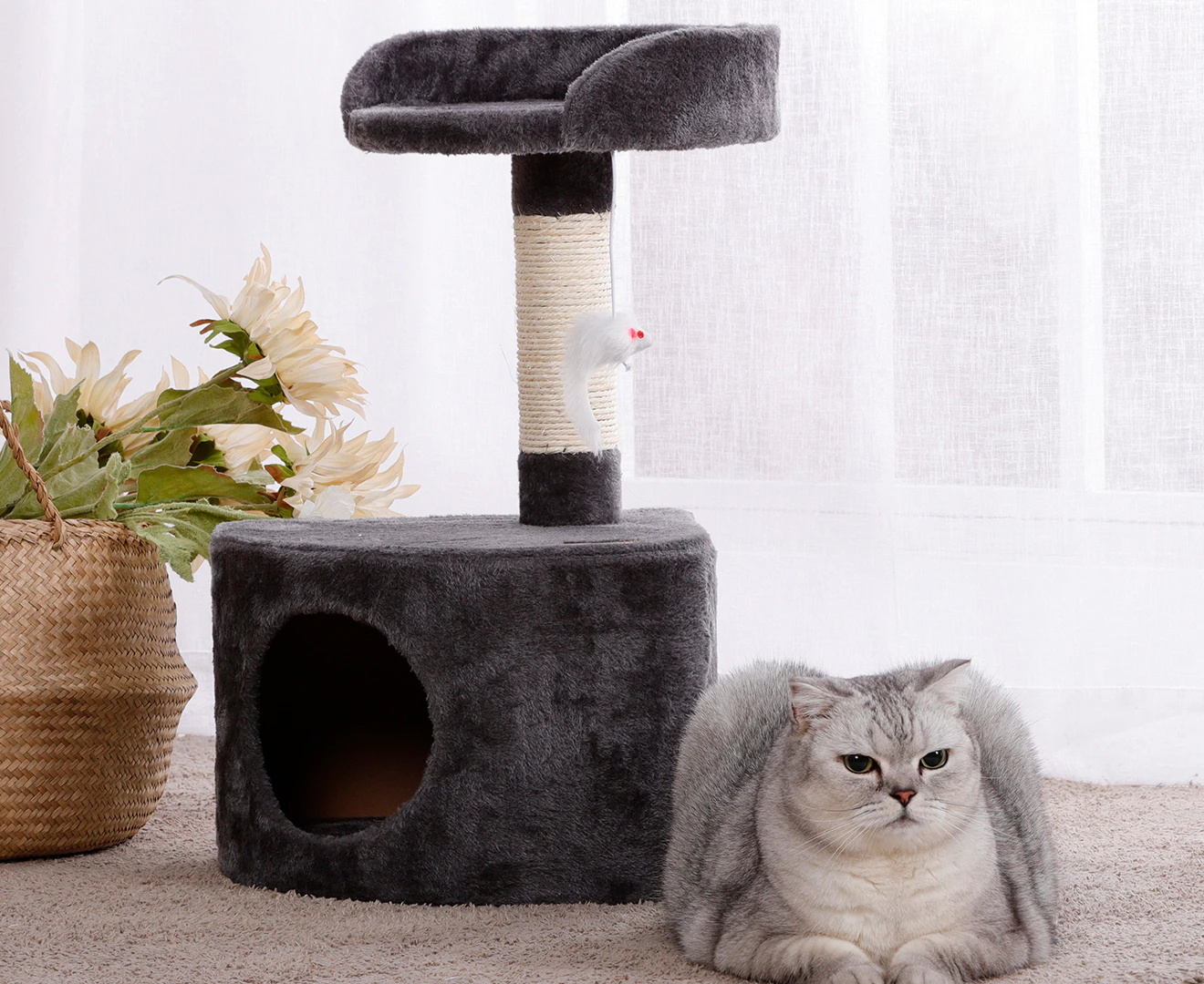 Charlie's 58cm Cat Tree w/ Round House - Charcoal