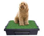 PetSafe Medium Pet Loo & Grass Mat